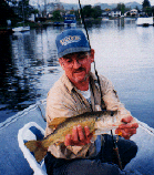 bass1.gif (31207 bytes)