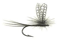 brookscdc.gif (4792 bytes)